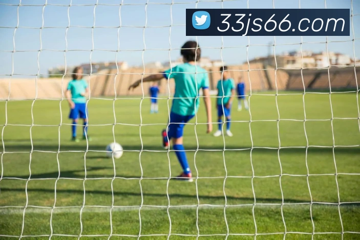 金沙国际娱乐城平台生态图